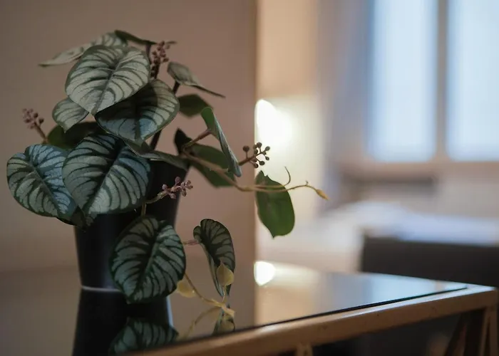 Appartement Amata San Pietro